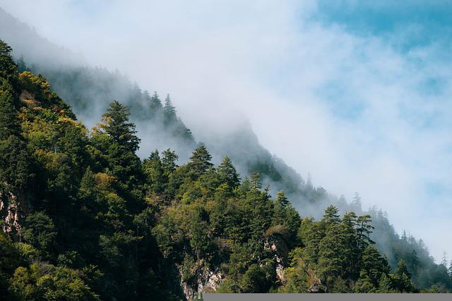 A photo of alpine mountains, blanketed in misty forests.